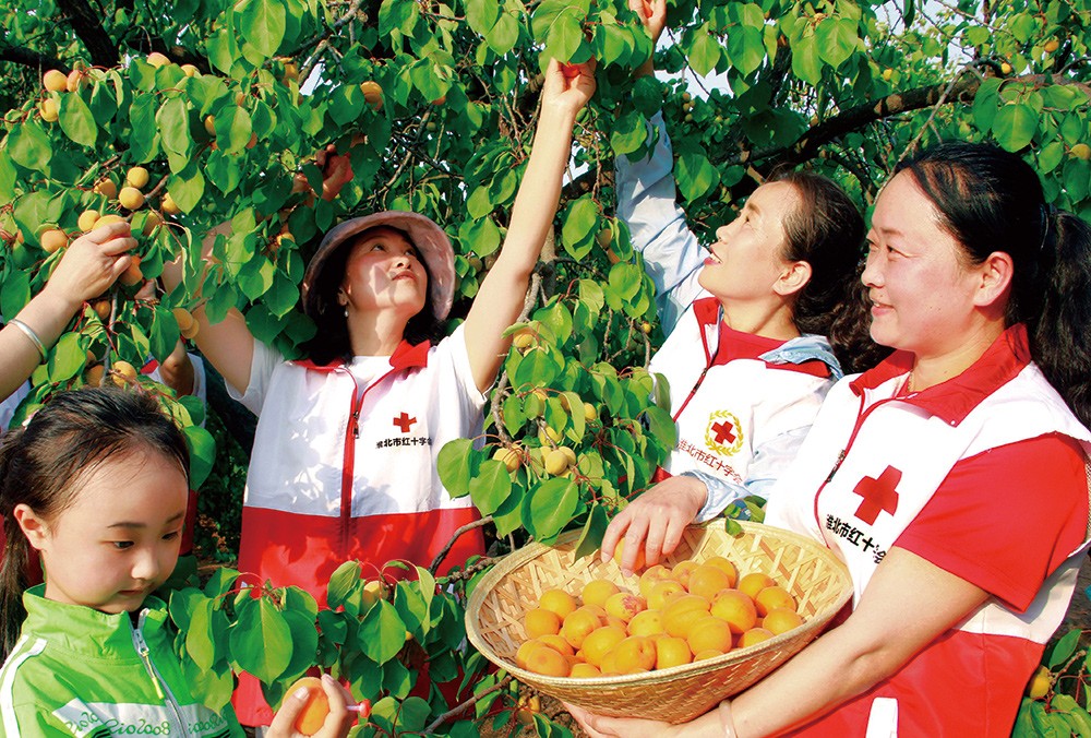 6b安徽1-1000.jpg 6b安徽1-1000.jpg